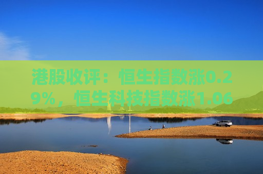 港股收评：恒生指数涨0.29%，恒生科技指数涨1.06%
