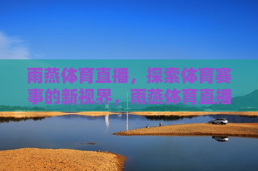 雨燕体育直播，探索体育赛事的新视界，雨燕体育直播，开启体育赛事新视界，雨燕体育直播，开启体育赛事新视界