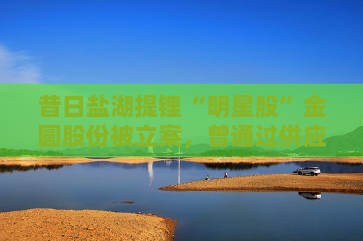 昔日盐湖提锂“明星股”金圆股份被立案，曾通过供应商给控股股东输送资金