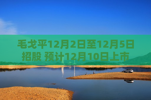 毛戈平12月2日至12月5日招股 预计12月10日上市