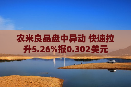 农米良品盘中异动 快速拉升5.26%报0.302美元