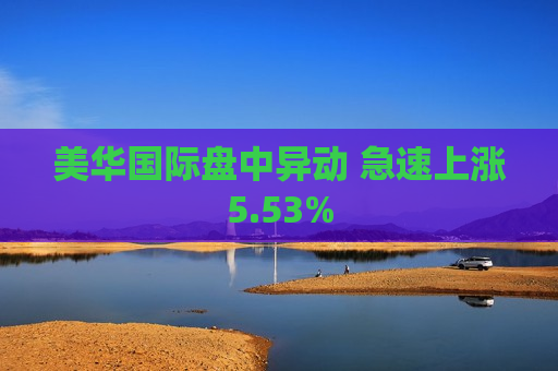 美 *** 际盘中异动 急速上涨5.53%