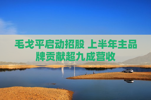 毛戈平启动招股 上半年主品牌贡献超九成营收  第1张