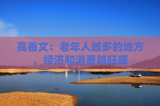 高善文：老年人越多的地方，经济和消费越旺盛