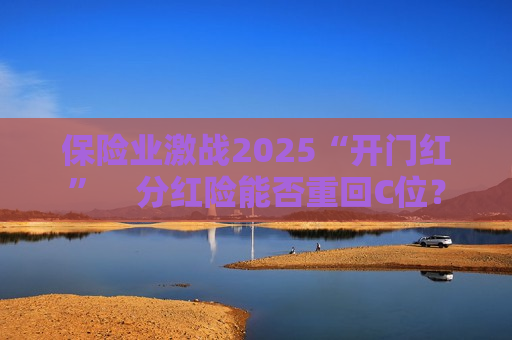 保险业激战2025“开门红”　分红险能否重回C位？
