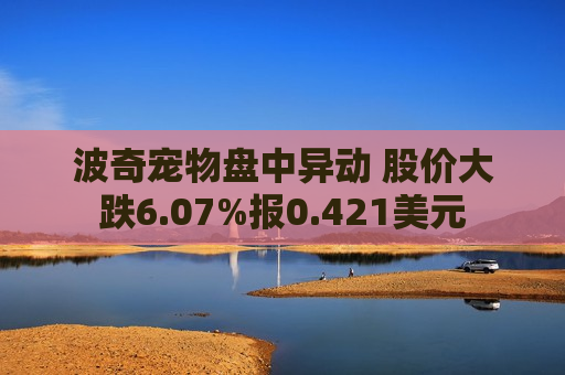 波奇宠物盘中异动 股价大跌6.07%报0.421美元