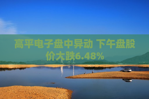 高平电子盘中异动 下午盘股价大跌6.48%