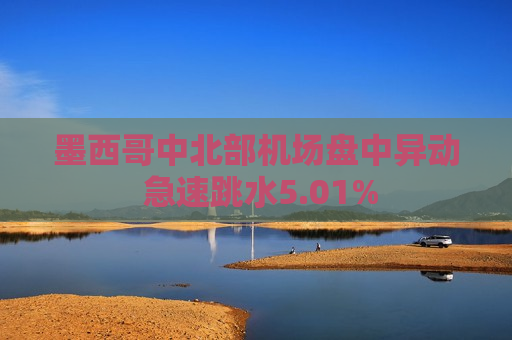 墨西哥中北部机场盘中异动 急速跳水5.01%