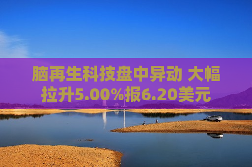 脑再生科技盘中异动 大幅拉升5.00%报6.20美元