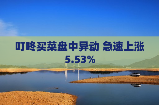 叮咚买菜盘中异动 急速上涨5.53%