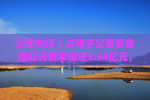 公司快评︱占用子公司资金遭起诉要求偿还3.38亿元，恒天海龙如何应对信誉风险？