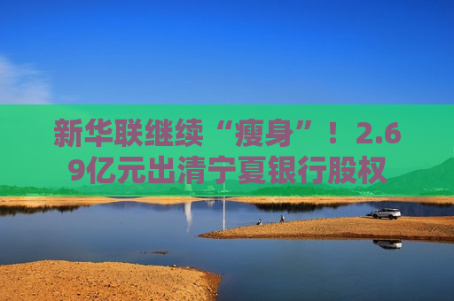 新华联继续“瘦身”！2.69亿元出清宁夏银行股权