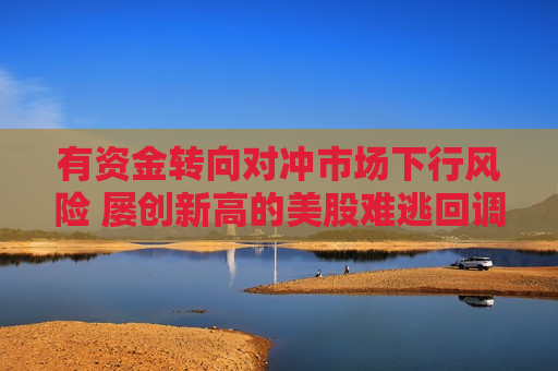 有资金转向对冲市场下行风险 屡创新高的美股难逃回调?
