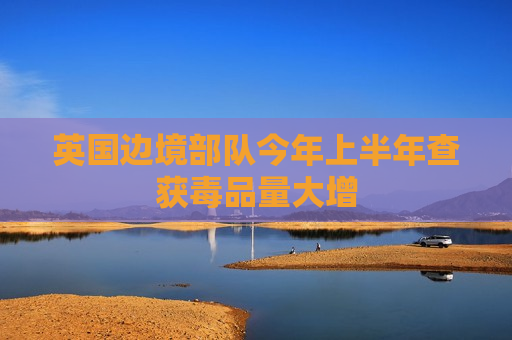英国边境部队今年上半年查获毒品量大增