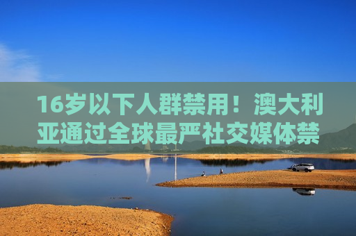 16岁以下人群禁用！澳大利亚通过全球最严社交媒体禁令