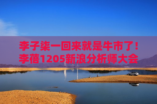 李子柒一回来就是牛市了！李蓓1205新浪分析师大会部分演讲内容！