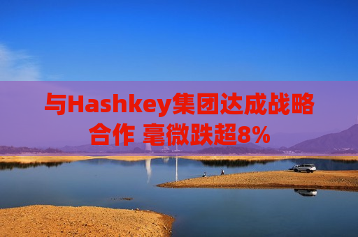 与Hashkey集团达成战略合作 毫微跌超8%