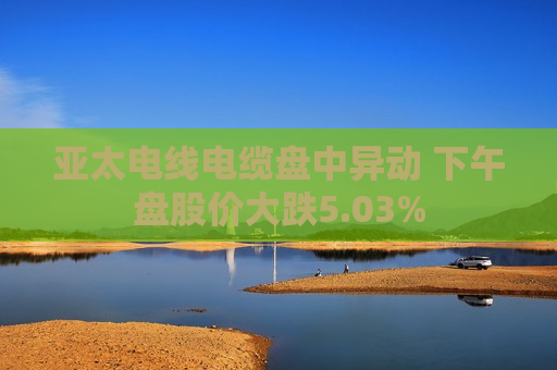 亚太电线电缆盘中异动 下午盘股价大跌5.03%