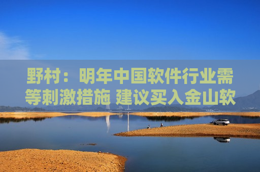 野村：明年中国软件行业需等 *** 措施 建议买入金山软件、金蝶国际