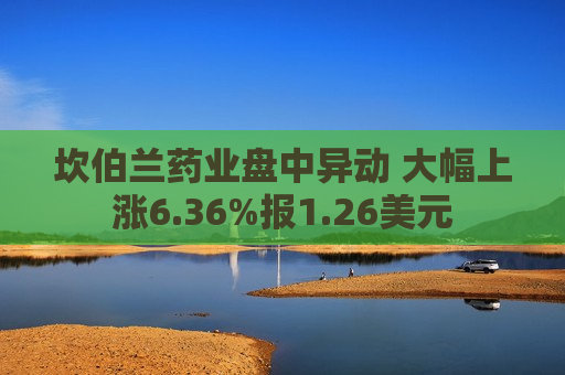 坎伯兰药业盘中异动 大幅上涨6.36%报1.26美元