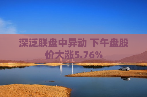 深泛联盘中异动 下午盘股价大涨5.76%