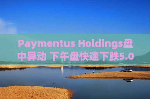Paymentus Holdings盘中异动 下午盘快速下跌5.03%