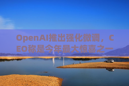 OpenAI推出强化微调，CEO称是今年更大惊喜之一