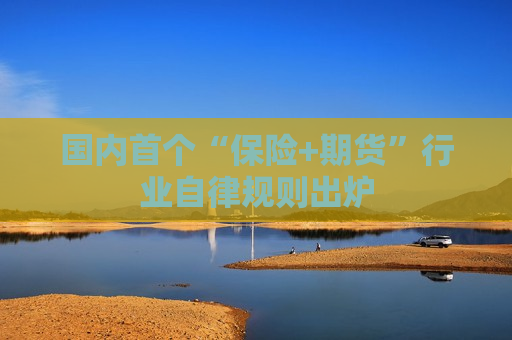 国内首个“保险+期货”行业自律规则出炉