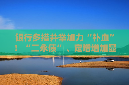 银行多措并举加力“补血”！“二永债”、定增增加显著