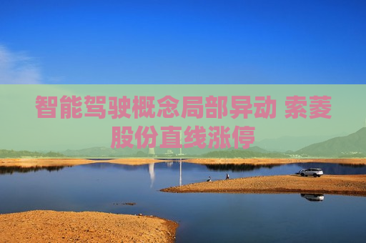 智能驾驶概念局部异动 索菱股份直线涨停