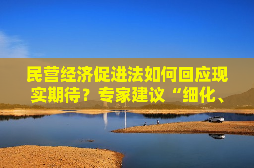 民营经济促进法如何回应现实期待？专家建议“细化、衔接、权威”