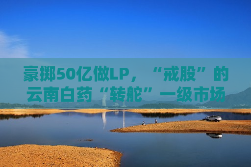 豪掷50亿做LP，“戒股”的云南白药“转舵”一级市场