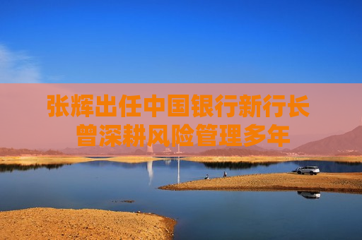 张辉出任中国银行新行长 曾深耕风险管理多年