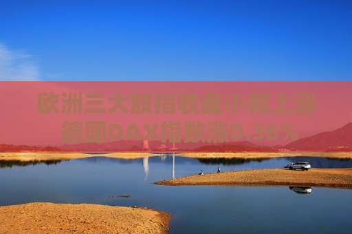 欧洲三大股指收盘小幅上涨 德国DAX指数涨0.36%