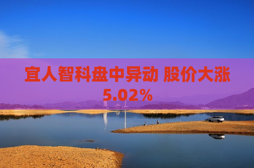宜人智科盘中异动 股价大涨5.02%
