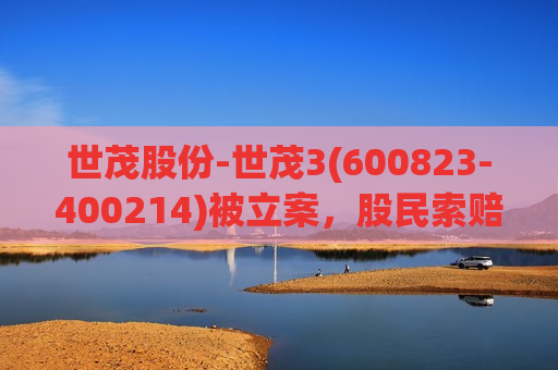 世茂股份-世茂3(600823-400214)被立案，股民索赔可期