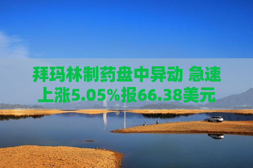 拜玛林制药盘中异动 急速上涨5.05%报66.38美元