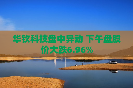 华钦科技盘中异动 下午盘股价大跌6.96%