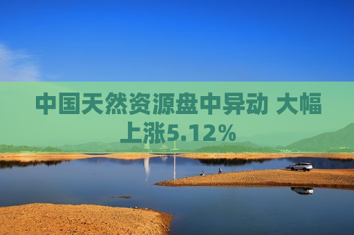 中国天然资源盘中异动 大幅上涨5.12%
