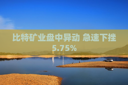 比特矿业盘中异动 急速下挫5.75%