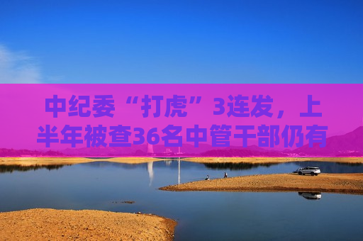 中纪委“打虎”3连发，上半年被查36名中管干部仍有5人未被处分