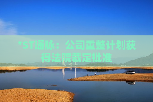 *ST通脉：公司重整计划获得法院裁定批准