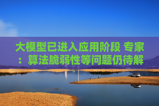 大模型已进入应用阶段 专家：算法脆弱性等问题仍待解