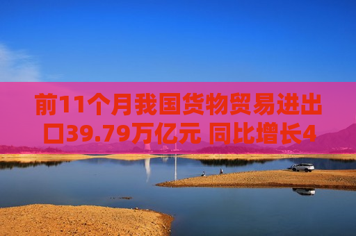 前11个月我国货物贸易进出口39.79万亿元 同比增长4.9%