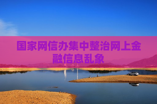 国家网信办集中整治网上金融信息乱象