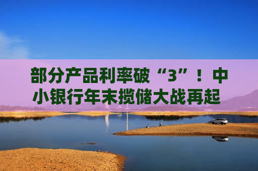 部分产品利率破“3”！中小银行年末揽储大战再起 大额存单、特色存款齐“上桌”