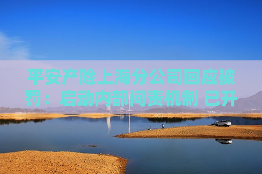 平安产险上海分公司回应被罚：启动内部问责机制 已开展整改工作