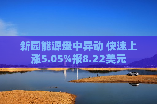 新园能源盘中异动 快速上涨5.05%报8.22美元