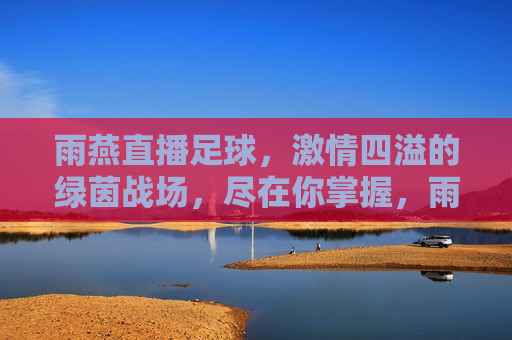 雨燕直播足球， *** 四溢的绿茵战场，尽在你掌握，雨燕直播， *** 四溢的足球盛宴，雨燕直播， *** 四溢的足球盛宴
