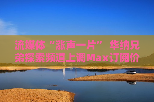流媒体“涨声一片” 华纳兄弟探索频道上调Max订阅价格